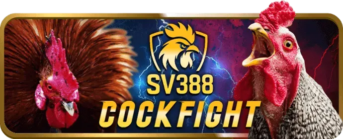 Hoàn trả cược đá gà 13win